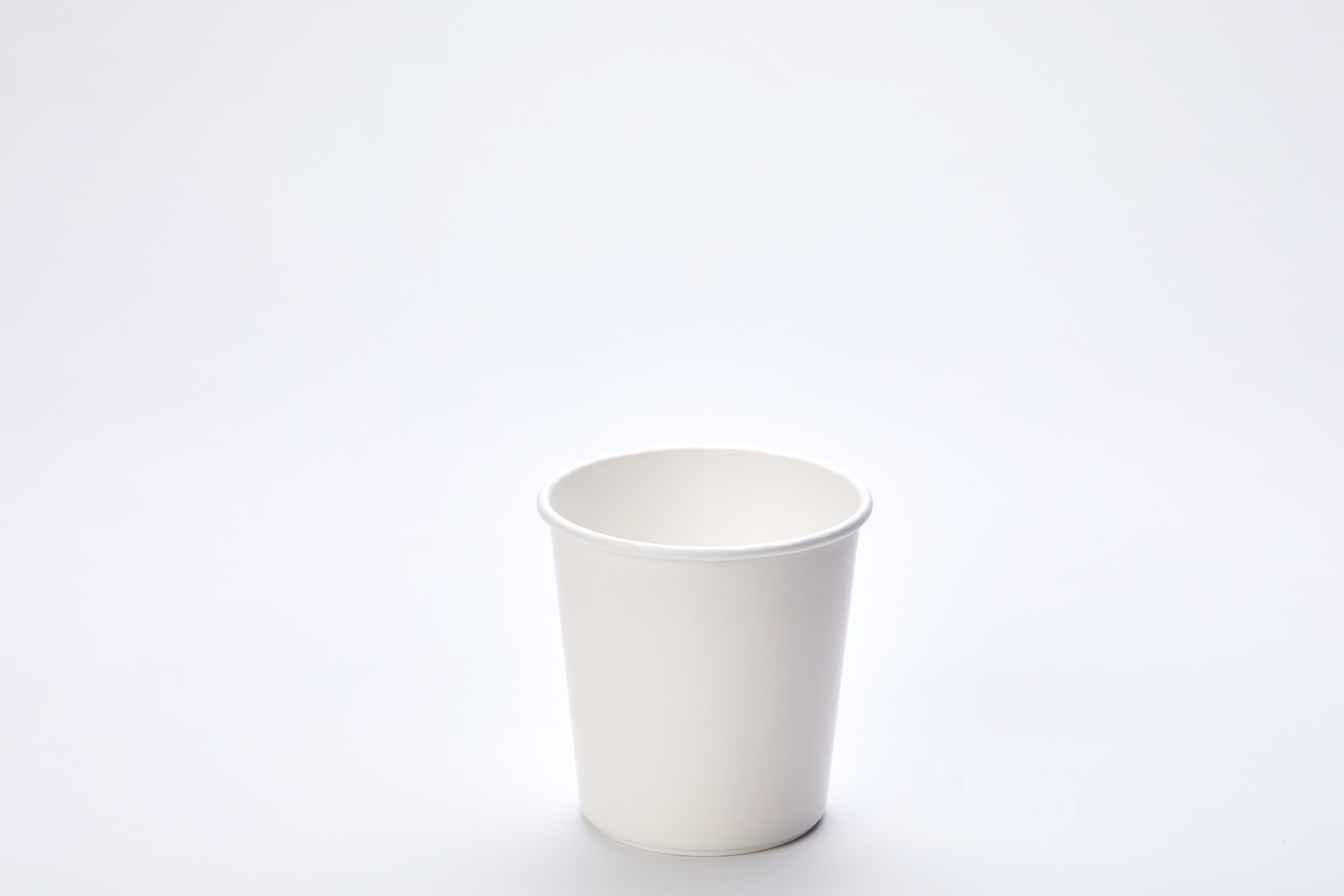 Paper Double Wall Coffee Cup 10oz 