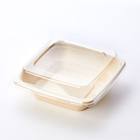 16OZ Square Pulp Food Bowl With Clear Lid