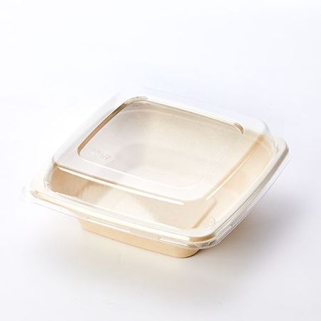 24OZ Square Pulp Food Bowl With Clear Lid