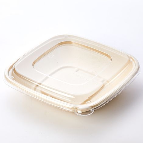 24OZ Square Pulp Food Bowl With Lid