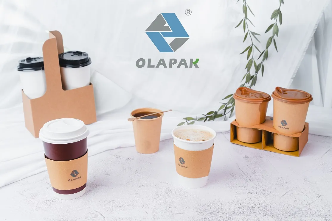 🌟 OLAPAK Achieves D-U-N-S® Certification! 🌟  (09.09.2025)